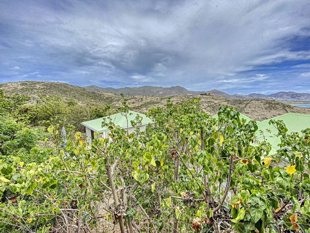 Location villa Oyster Pond Saint Martin_ Vue d'ensemble - 34